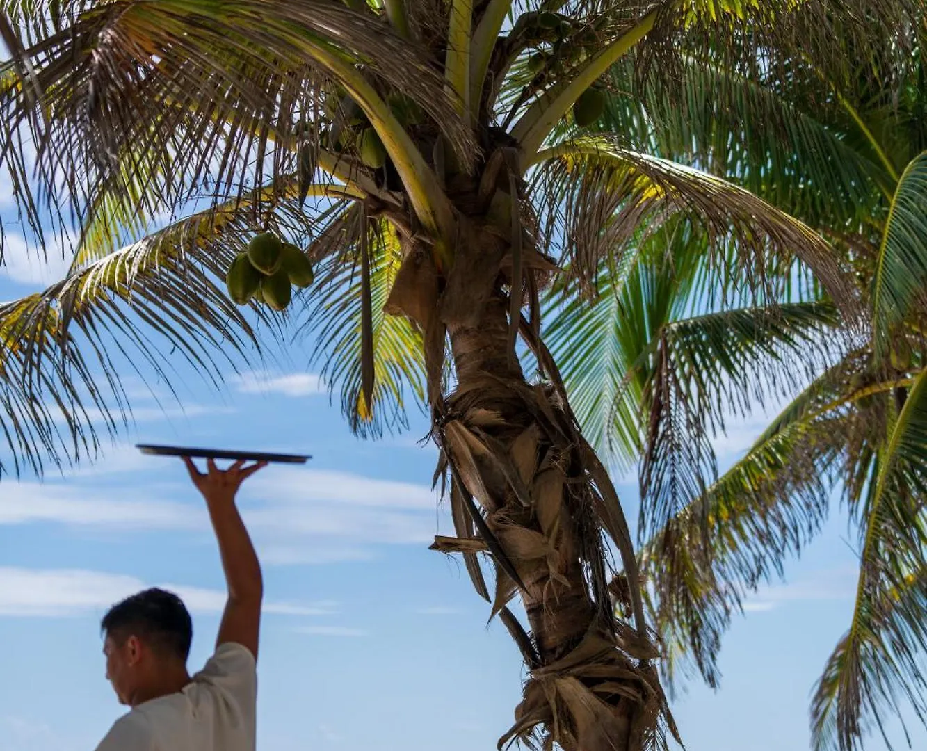 Sana Tulum Beachfront Boutique Hotel المكسيك
